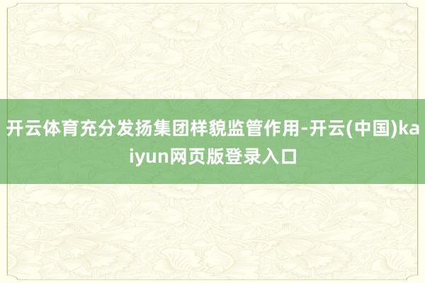 开云体育充分发扬集团样貌监管作用-开云(中国)kaiyun网页版登录入口