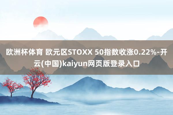 欧洲杯体育 欧元区STOXX 50指数收涨0.22%-开云(中国)kaiyun网页版登录入口