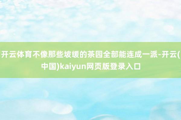 开云体育不像那些坡缓的茶园全部能连成一派-开云(中国)kaiyun网页版登录入口